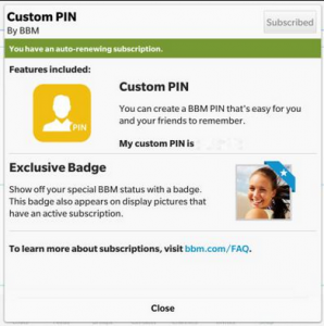 customisasi PIN BBM
