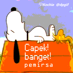 gambar bbm cape