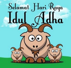 selamat-hari-raya-idul-adha-lucu