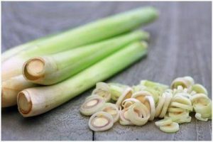 Cara Mengusir Nyamuk Secara Tradisional Mudah